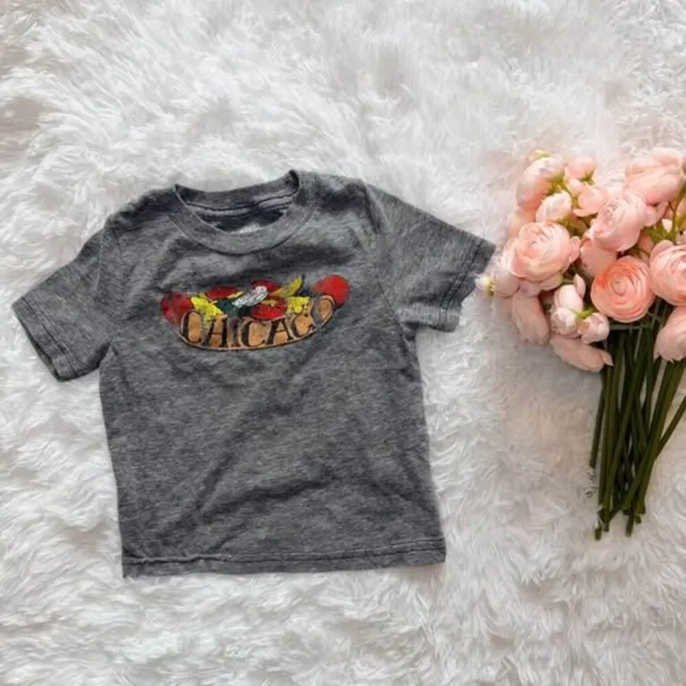 Chicago Graphic Tee Toddler Shirt 12M Soft Vintage Style